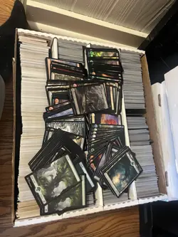 Magic The gathering Full Art Basic Lands Lot MTG 1000+ 1k+ Cards - Image 1