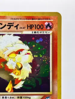 Light Arcanine No.059 Neo 4 Destiny Japanese Pokemon Card 2001 Holo EX! - Image 5