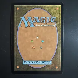 Verdant Catacombs Magic The Gathering MTG Zendikar LP Lightly Played - Image 2