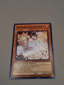 Ash Blossom & Joyous Spring SDCB-EN014 Yugioh 1st Edition LP - Image 2