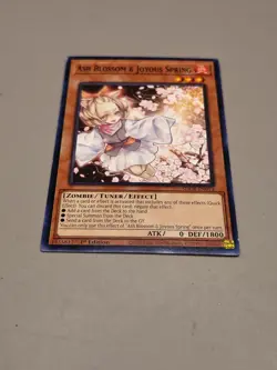 Ash Blossom & Joyous Spring SDCB-EN014 Yugioh 1st Edition LP - Image 3
