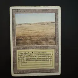 Magic The Gathering Savannah Revised Dual Land Heavily Played See Photos - Image 1