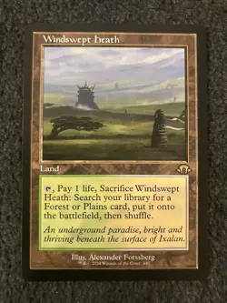 Magic The Gathering MTG - Windswept Heath (Retro Frame) - Modern Horizons 3 - Image 1