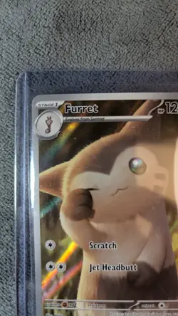 Furret - 168/159 Illustration Rare SV09: Journey Together Pokemon TCG NM - Image 3