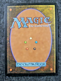 MTG: Prophecy: Citadel of Pain: Lightly Played Condition...............(DS3D1J7) - Image 2