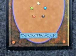 MTG: Prophecy: Citadel of Pain: Lightly Played Condition...............(DS3D1J7) - Image 4