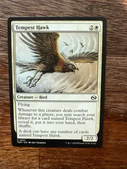 MTG - Tempest Hawk. Tarkir: Dragonstorm. Common White Creature - Bird. - Image 1