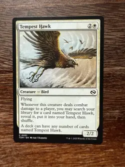 MTG - Tempest Hawk. Tarkir: Dragonstorm. Common White Creature - Bird. - Image 1