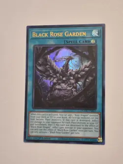 Black Rose Garden Ultra Rare DOOD-EN055 NM 1st Ed Yu-Gi-Oh! - Image 1