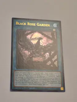 Black Rose Garden Ultra Rare DOOD-EN055 NM 1st Ed Yu-Gi-Oh! - Image 2
