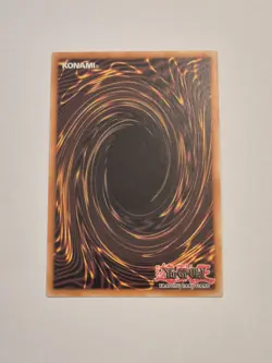 Black Rose Garden Ultra Rare DOOD-EN055 NM 1st Ed Yu-Gi-Oh! - Image 3