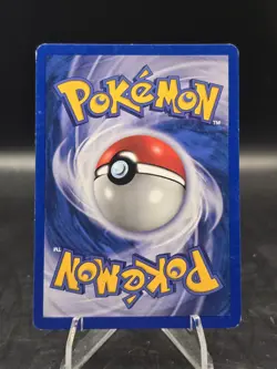 Pokemon TCG Piloswine 36/64 1st Edition Neo Revelation Regular Uncommon NM - Image 2