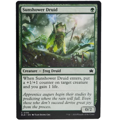 x4 Sunshower Druid Bloomburrow Green Creature Frog Druid Common MTG Playset M/NM - Image 1