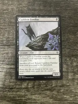 MTG 1x Cauldron Familiar x1 LP Throne of Eldraine - Image 1