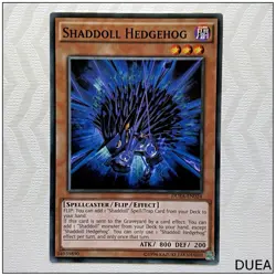 Shaddoll Hedgehog - DUEA-EN024 - Common Unlimited Yugioh - Image 1