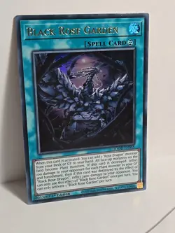 Yu-Gi-Oh Doom Of Dimensions Black Rose Garden Ultra Rare DOOD-EN055 NM!!! - Image 1