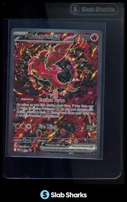 2025 POKEMON BLACK STAR PROMOS MEP EN #024 ORICORIO EX ULTRA PREMIUM COLLECTION - Image 1