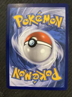 Charizard V SWSH260 - Pokemon Sword & Shield Promo Holo (NM) - Image 2
