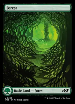 Near Mint, English - 2 x MTG Forest - 0266 - Foil Wilds of Eldraine - Image 1