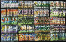 200 Lot All RR V Double Rare Pokemon Chinese card Magearna Victini Arcanine - Image 1