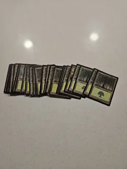 MTG Portal Forest X33 Basic Land - Image 1