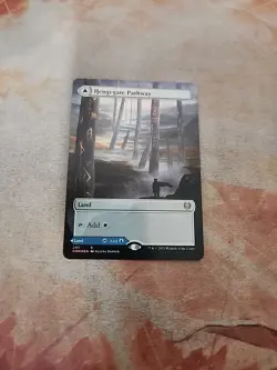 Hengegate Pathway Borderless Foil Zendikar Rising MTG LP - Image 1