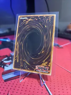 Yu-Gi-Oh! Black Rose Garden/ DOOD-EN055 1st Edition NM - Image 2