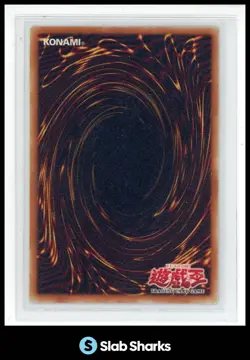 2002 YU-GI-OH! YUGI #SDY-006 DARK MAGICIAN 1ST EDITION ASIAN-ENGLISH - Image 2