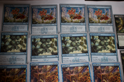 MTG 14 Unhinged wall of fortune spell suck playsets Magic the Gathering - Image 4