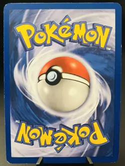 Eevee 11 Black Star Promo Holo Rare WOTC Wizards Of The Coast Pokemon TCG LP - Image 2