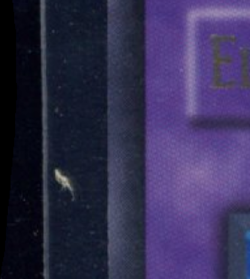 2007 YU-GI-OH! STRIKE OF NEOS 1ST EDITION #STON-EN034 ELEMENTAL HERO AIR - Image 3