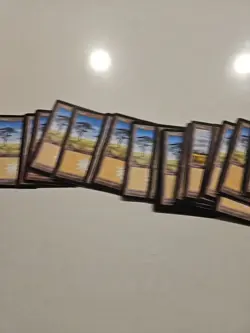 MTG Portal Plains X35 Basic Land - Image 2