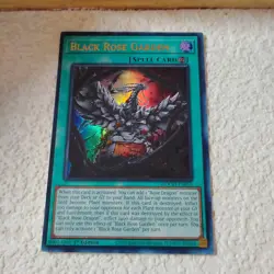Yu-Gi-Oh Black Rose Garden Ultra Rare Doom of Dimensions DOOD-EN055 NM/MINT - Image 1