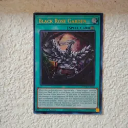 Yu-Gi-Oh Black Rose Garden Ultra Rare Doom of Dimensions DOOD-EN055 NM/MINT - Image 2