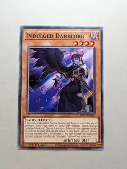 YUGIOH ROTD-EN024 Indulged Darklord Common 1st Edition - Image 1