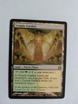 Temple Garden Return to Ravnica MTG NM Free shipping with tracking - Image 1
