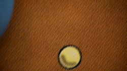 Magic the Gathering: Ravages of War - Portal Three Kingdoms (EX+) - Image 2