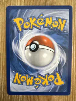 Litten SM02 HOLO RARE Pokemon TCG Black Star Promo 2016 NM - Image 2