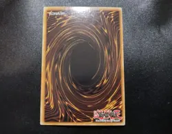 Light and Darkness Dragonlord INFO-EN034 Ultra 1st Edition Yugioh Card NM - Image 2