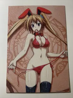 Bunny Girl Irina Shidou High School DxD Sexy Goddess Anime Doujin Waifu Art Card - Image 1