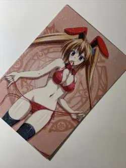 Bunny Girl Irina Shidou High School DxD Sexy Goddess Anime Doujin Waifu Art Card - Image 3