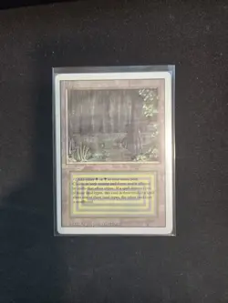 Magic the Gathering Bayou Revised Edition Dual Land Regular Card - Image 3