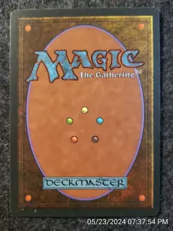 Wall of Kelp Homelands NM Blue Rare MAGIC THE GATHERING MTG CARD (DS3D1G2) - Image 2