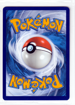 Yungoos 117/159 Crown Zenith ENGLISH Common 2023 Near Mint Pokemon - Image 2