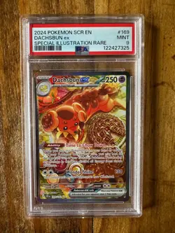 POKEMON TCG - STELLAR CROWN - DACHSBUN EX 169/142 - PSA 9 - Image 1