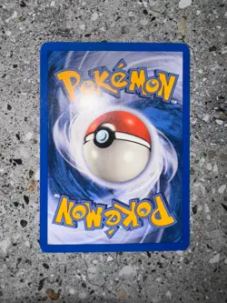 Pokemon TCG Cards Piloswine 43/144 Skyridge Uncommon NM-M - Image 4