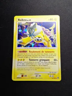 Raikou 16/132 Holo DP Merveilles Secretes Carte Pokemon FR - Image 1