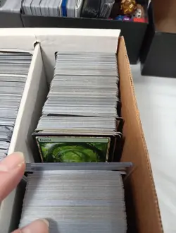 2,000+ Magic the Gathering Cards Lot Excellent Condition Bloomburrow Land Dice - Image 3