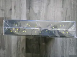 Pokemon Chinese Eevee GX Gift Box Set Glaceon Leafeon Umbreon Sylveon Espeon TCG - Image 3