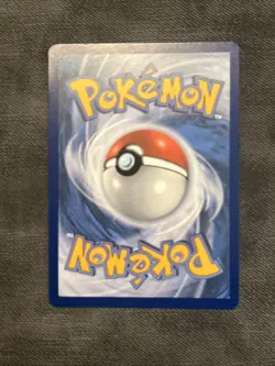 Pokemon TCG Dachsbun EX 169/142 Special Illustration Rare PSA 10 Stellar Crown - Image 2